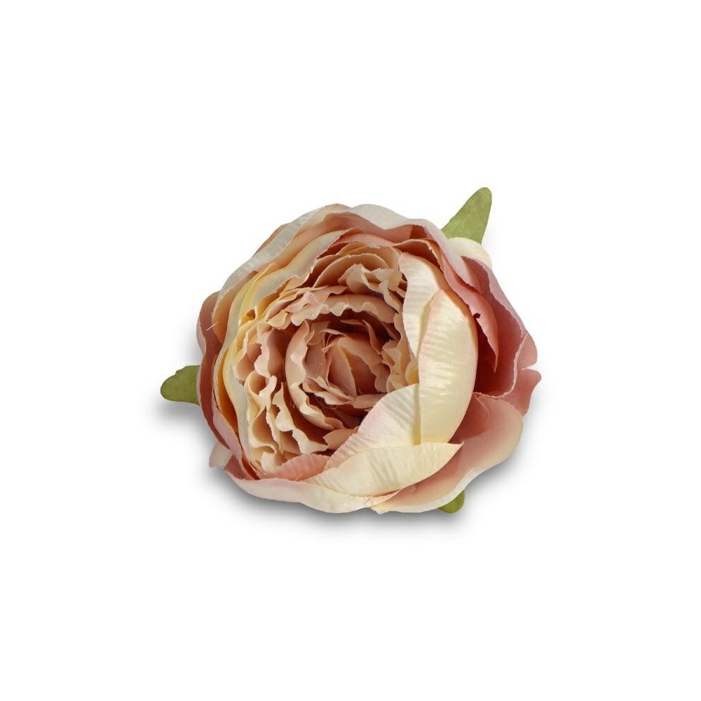 PEONIA CIPRIA STELO 10CM